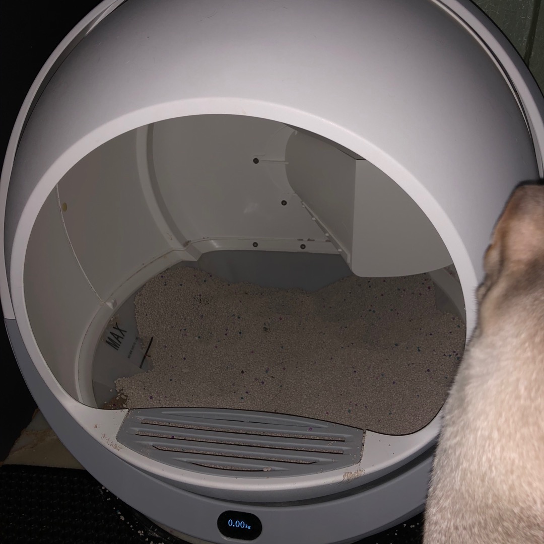 PETREE Automatic Cat Litter Robot 2.0 Improved Version FREE GIFT