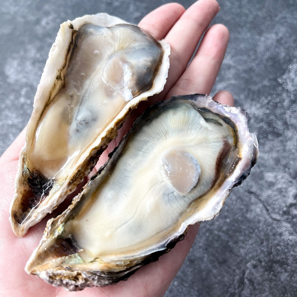 9s Seafood Hyogo Oysters (SashimiGrade) Shopee Singapore