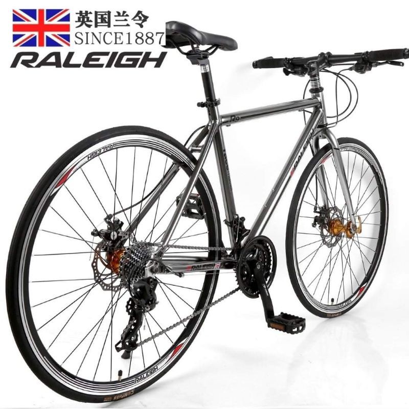 kickstand for raleigh bike