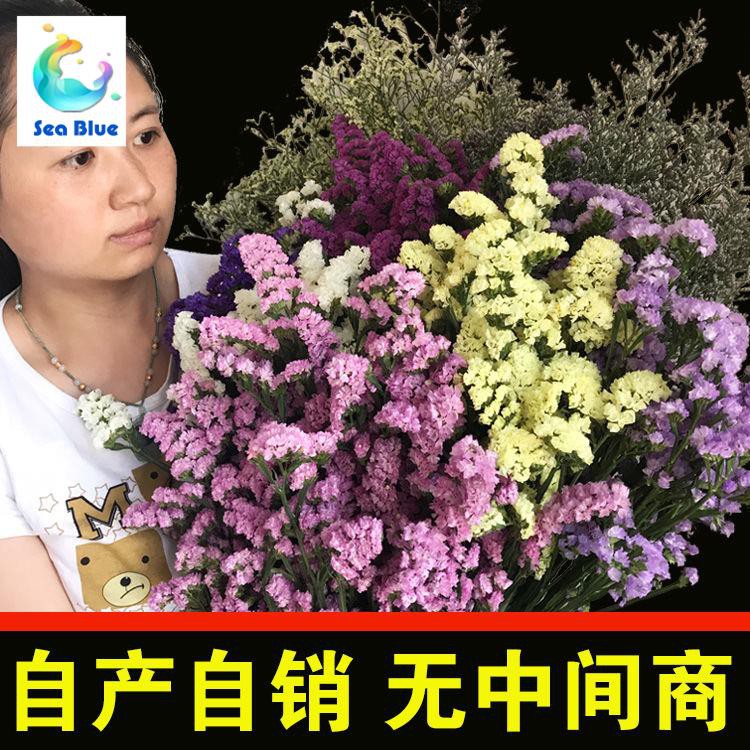 Sea Blue Yunnan Dried Flower Bouquets Gypsophila Flowers Fresh Flowers Wholesale Forget Me Not Living Room Decoration Real Shopee Singapore