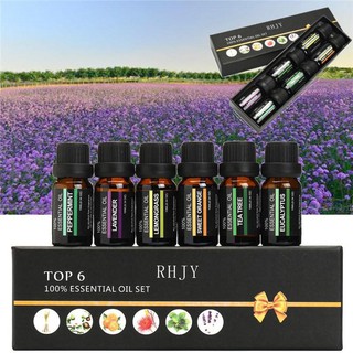 [PREMIUM ESSENTIAL] 6 Scents Top 6 100% Essential Oil Set Aromatherapy Aroma Oil Stress Relief Air Humidifier Diffuser #7