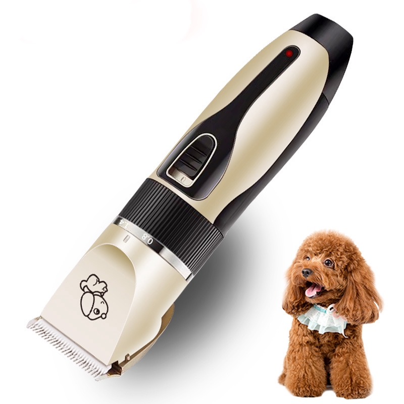 buy dog grooming kit