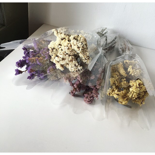 Shop Malaysia Ready Stock Dried Flower Do Not Forget Me Yosotis Silvatica Dried Flowers Shopee Singapore