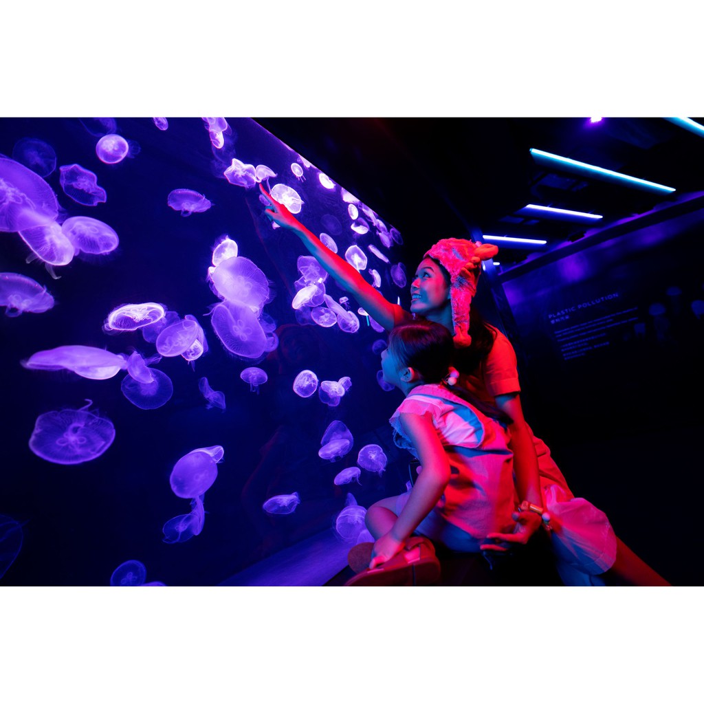 Sea Garden Aquarium Tropical Fish Store In George Town Malaysia Top Rated Online