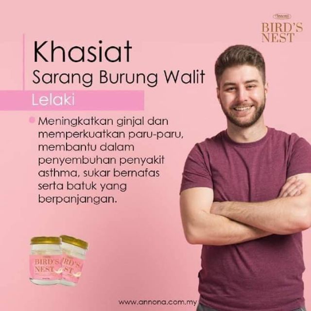 Bird Nest Abn Annona Bird S Nest Sarang Burung Walit Shopee Singapore