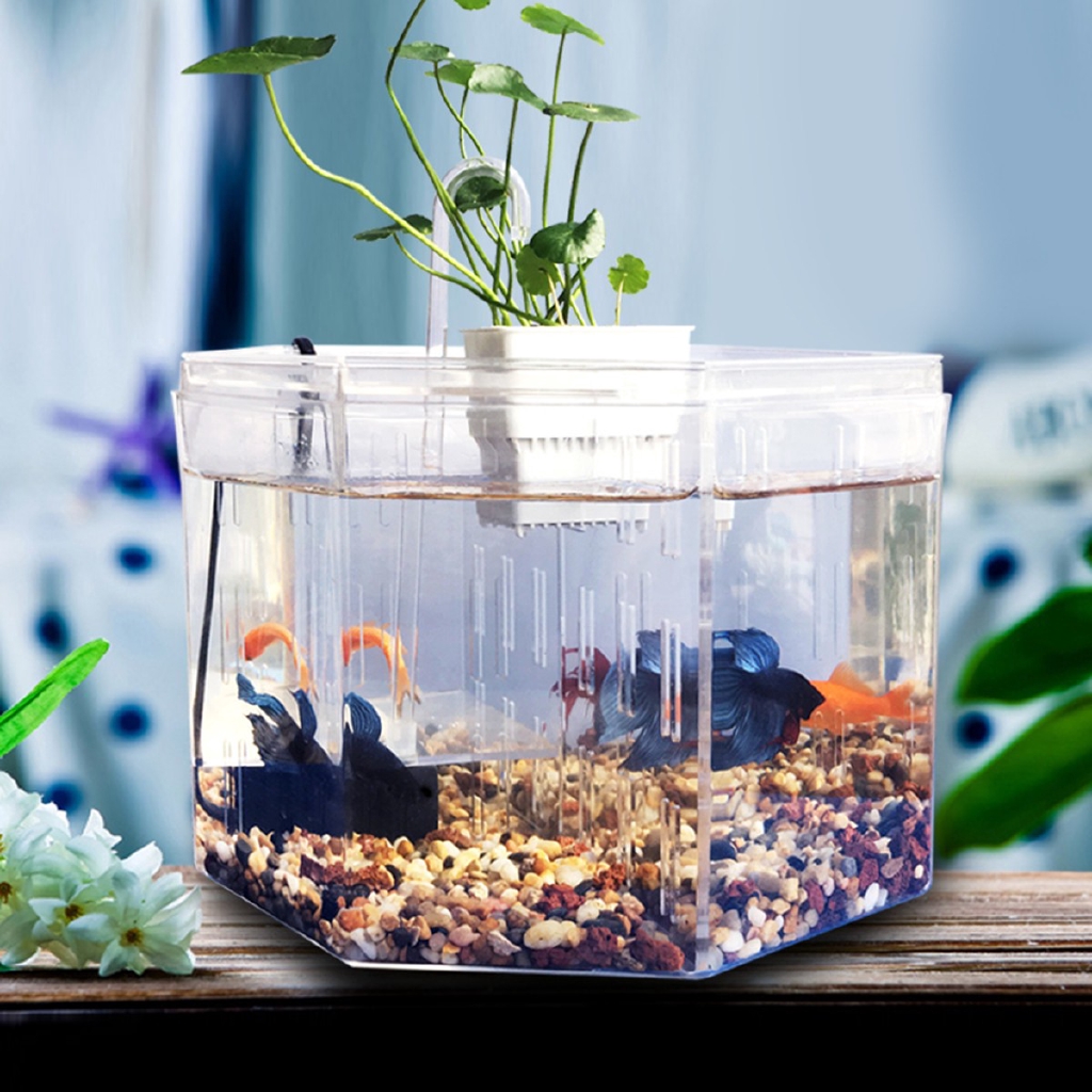 4 Block Clear Acrylic Betta Aquarium Fish Tank Breeding Decor