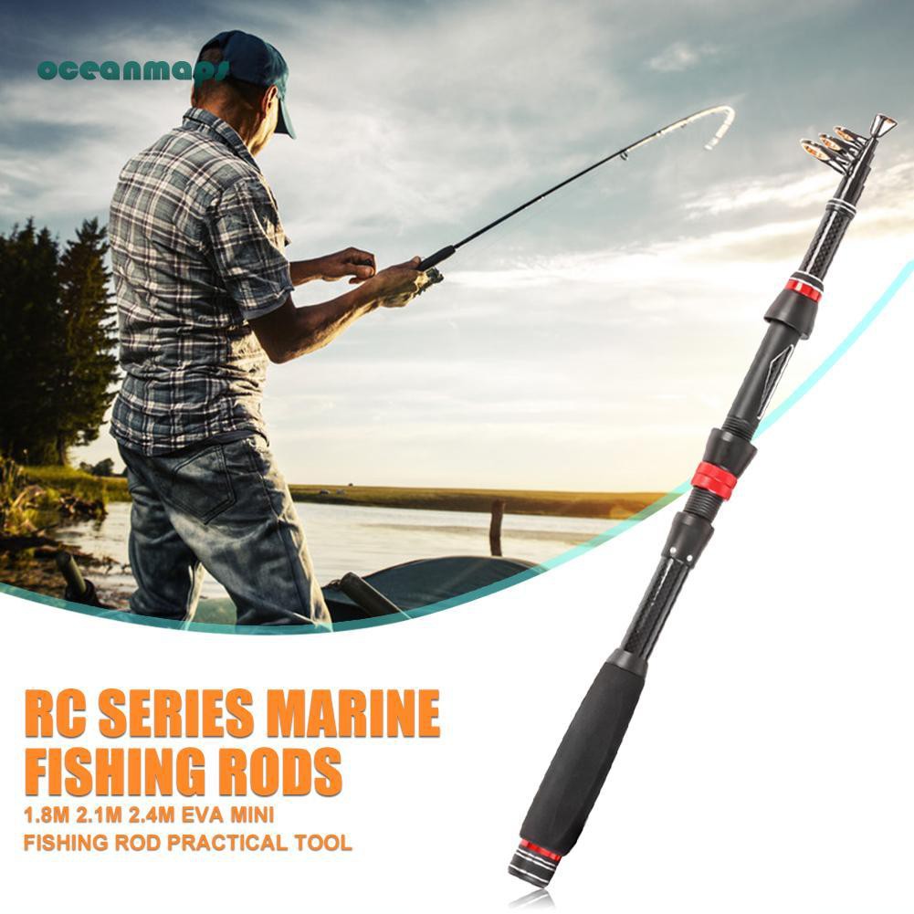 rc fishing pole