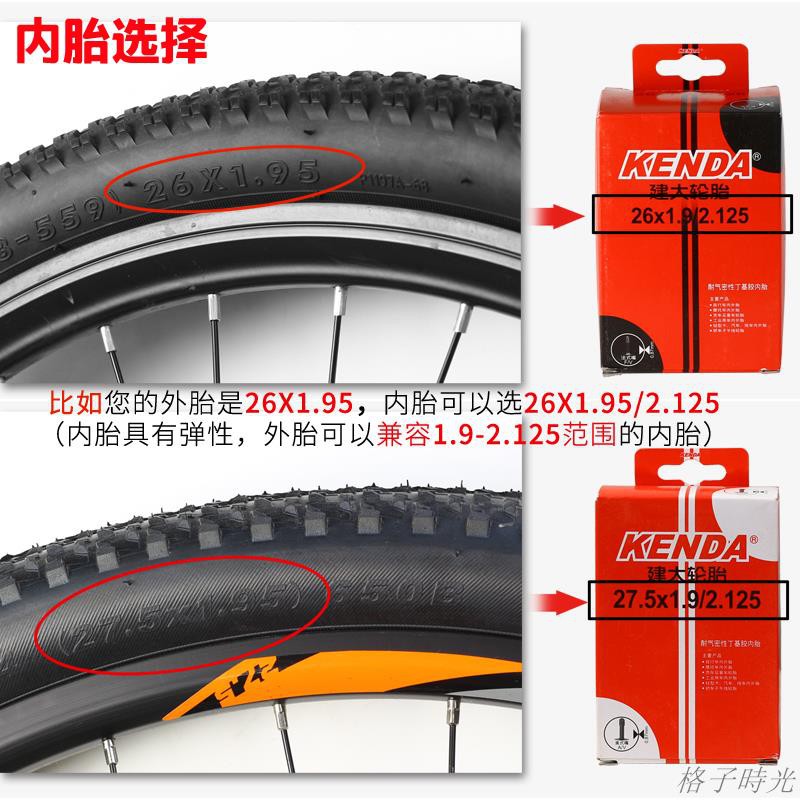 20 x 1.95 bike tire tube