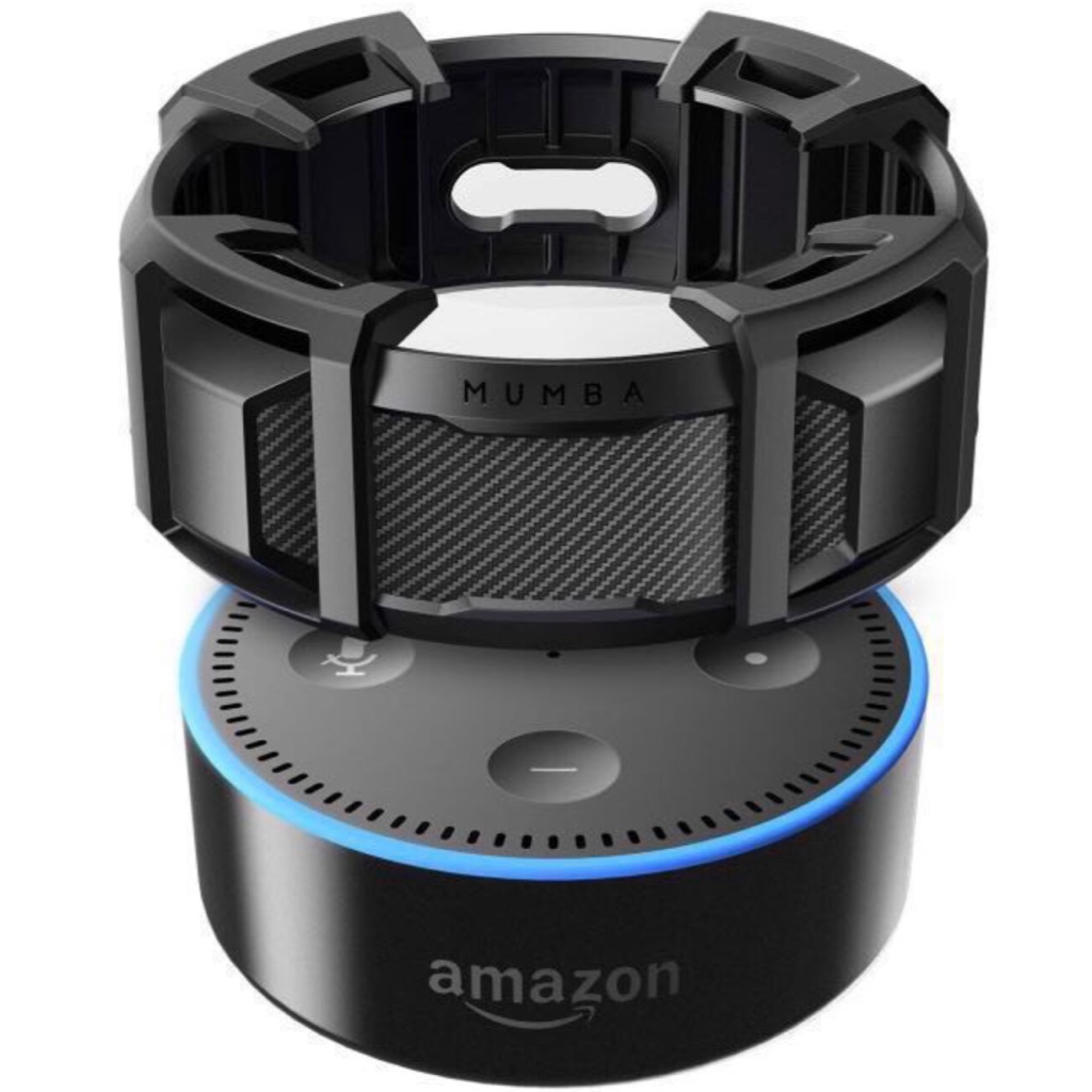 amazon echo dot case