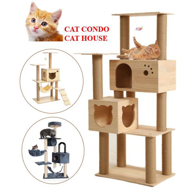 cat scratching post singapore