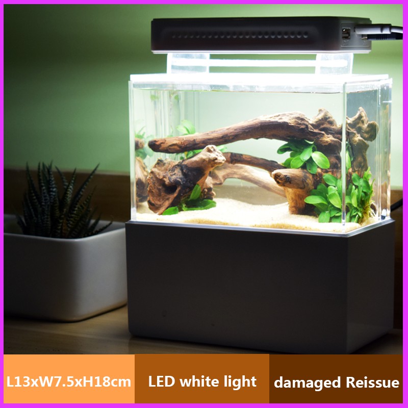 Office Mini Aquarium Built-in Filter Desktop Small Tank Oxygen and