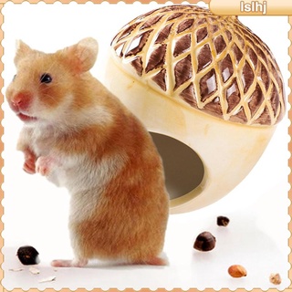 [lslhj] Ceramic Hamster Hideout Nest, Hamster  Bath,  and cool Small Animal Pet Nesting Habitat Cage #3