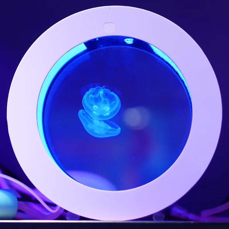 Mini Small Jellyfish Cylinder Desktop Fish Tank Aquarium Shopee