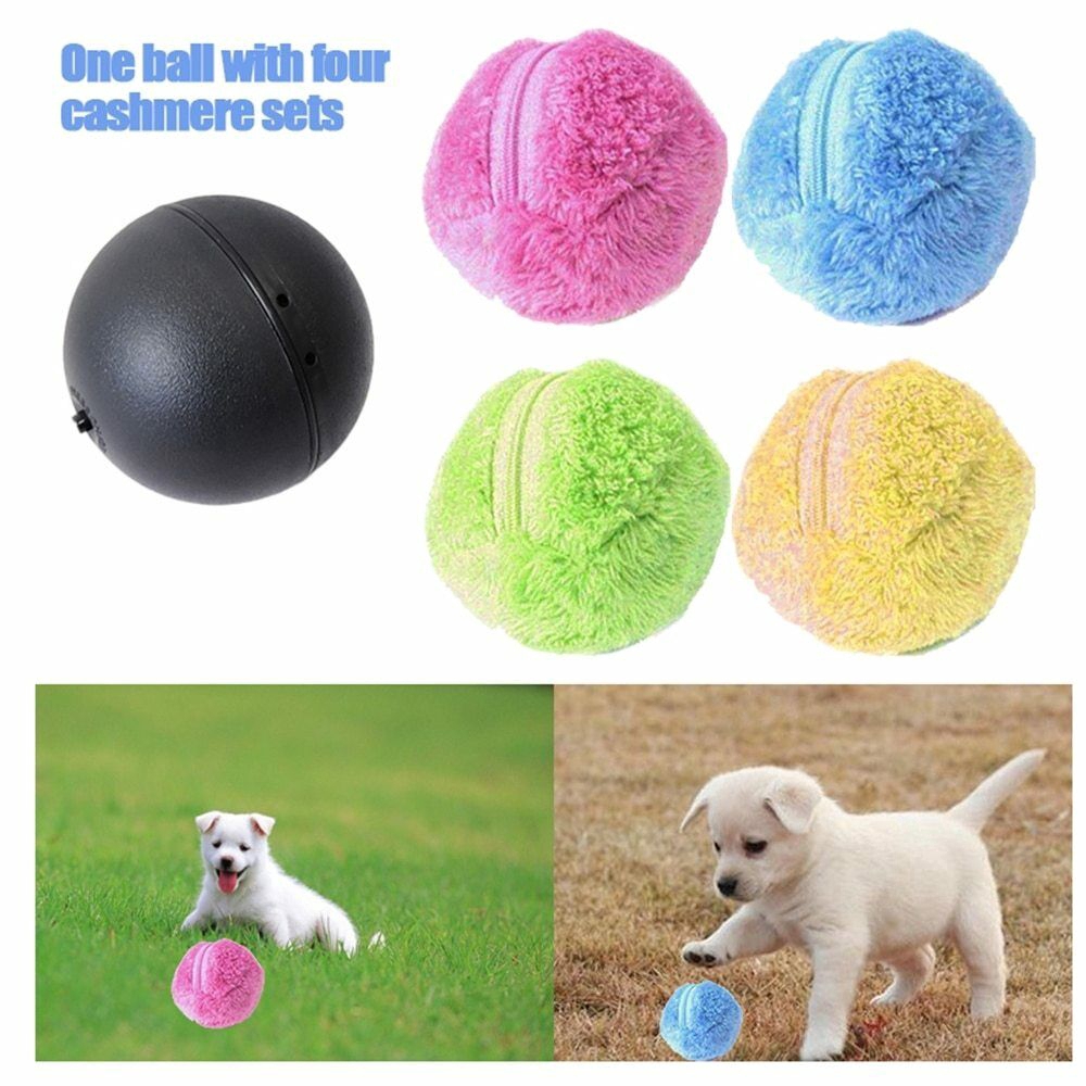 moving dog ball