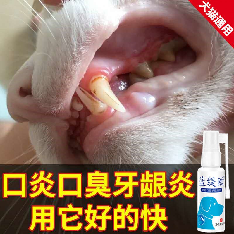 猫狗狗口腔剂宠物猫犬口炎喷剂狗狗猫咪口臭流口水牙周炎口腔溃烂生疮溃疡用品 Shopee Singapore