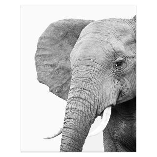 elephant canvas art nursery