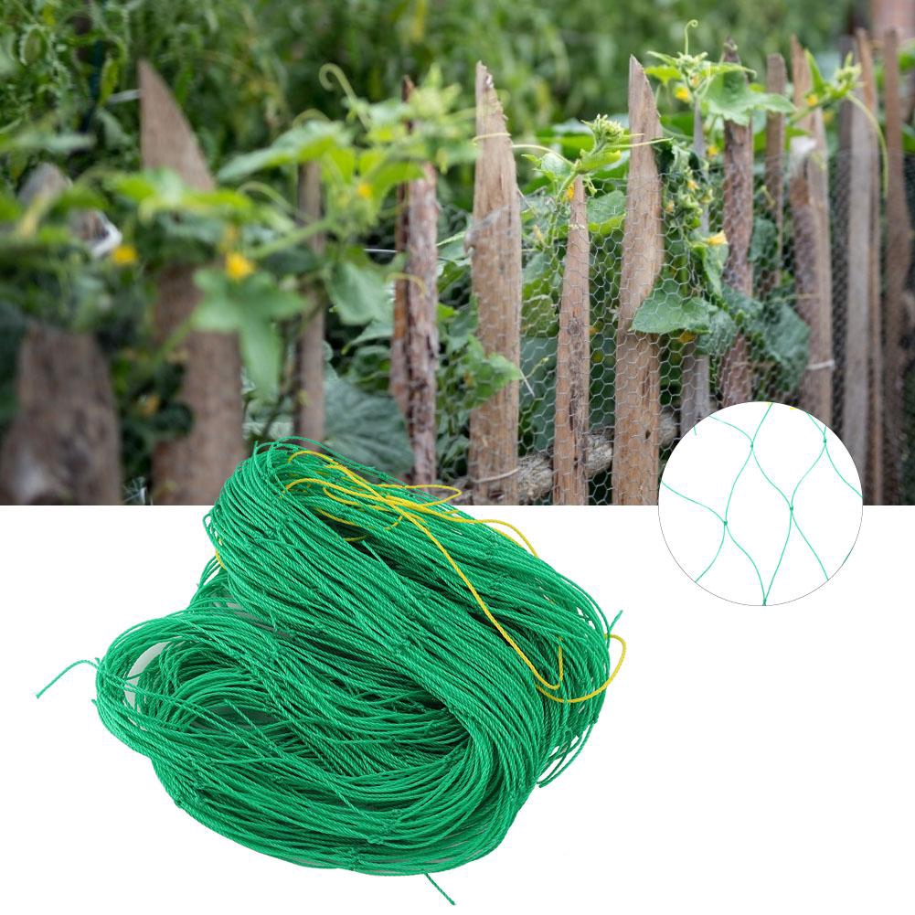 Garden Fruit Netting | Fasci Garden