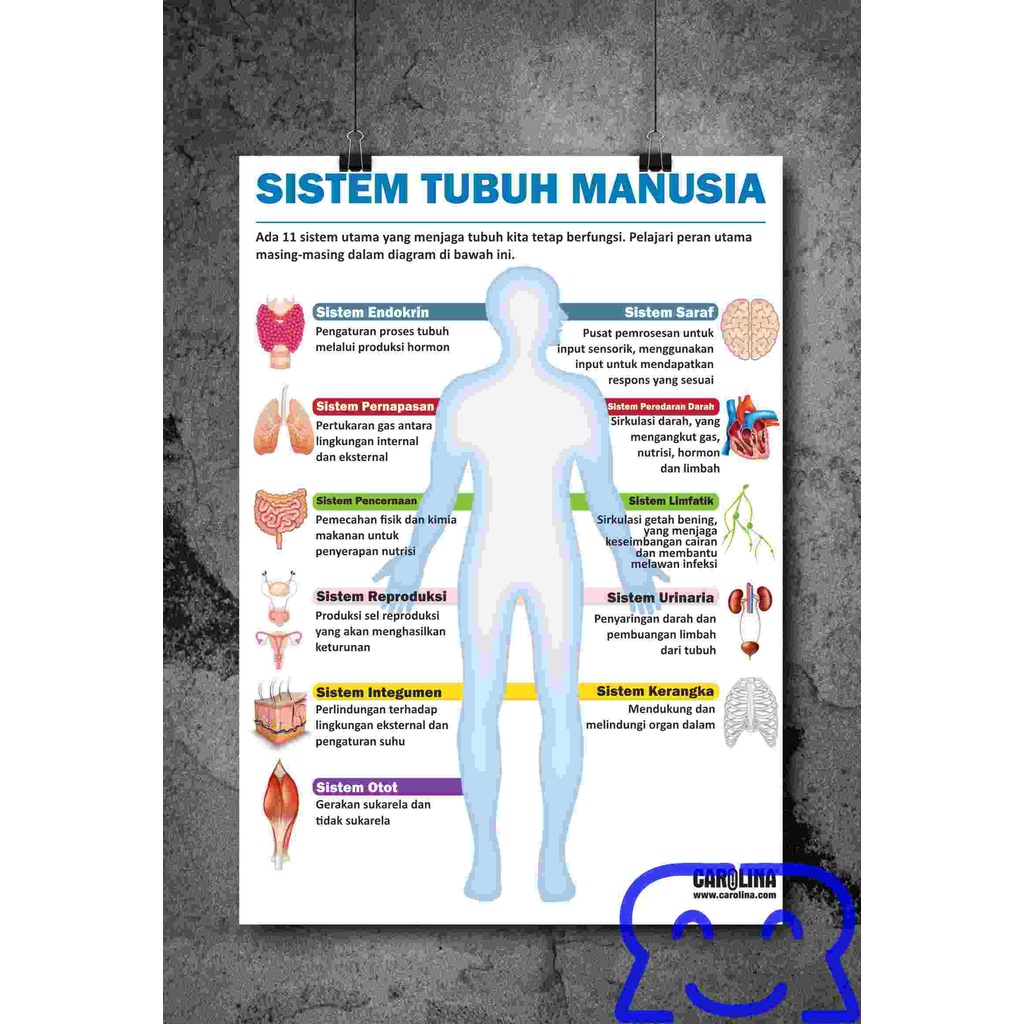 Menjaga organ pencernaan poster Contoh Poster