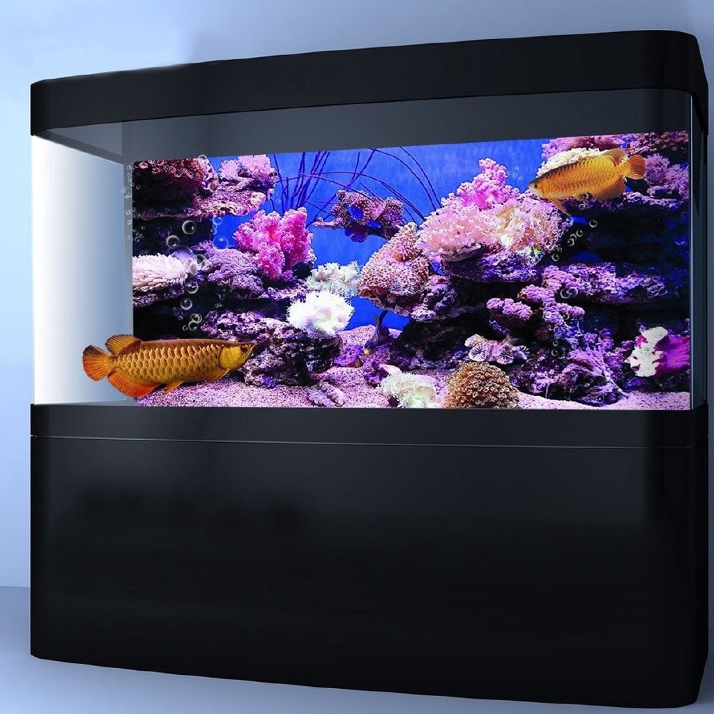 Daily Coral Hd Aquarium Background Poster Fish Tank Decoration