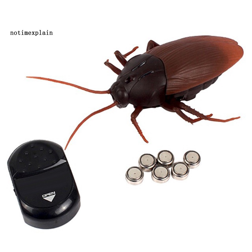 fake cockroach toy