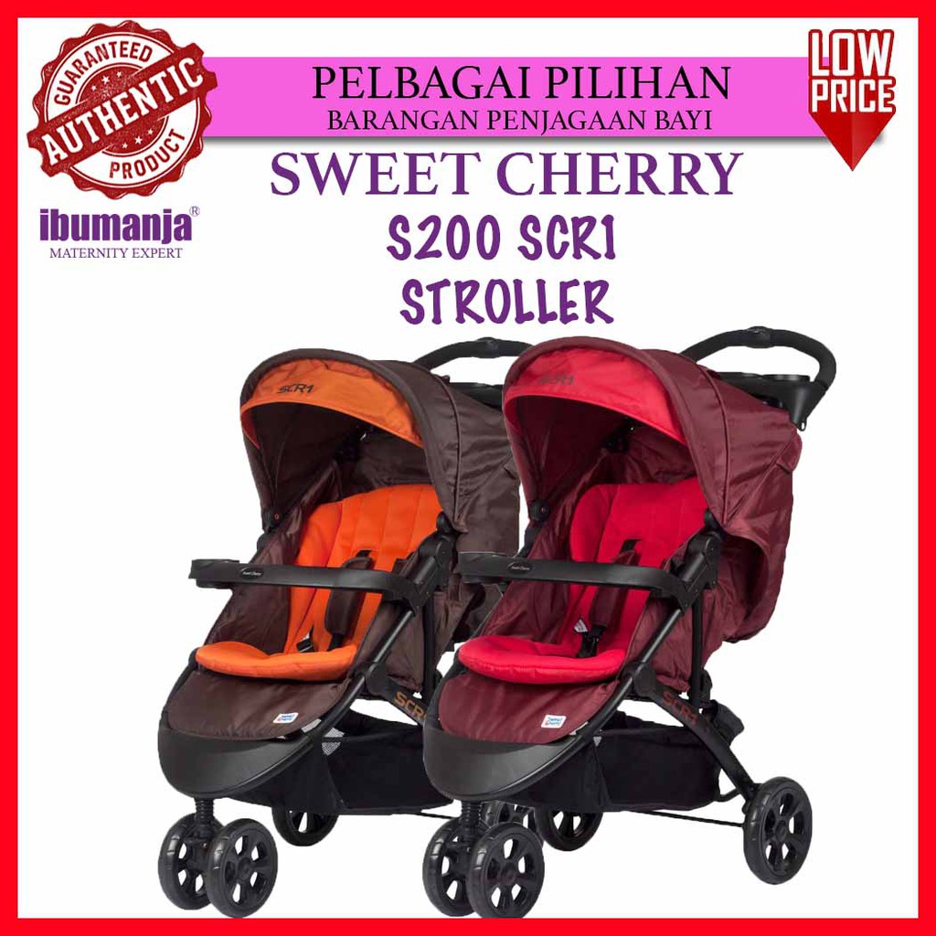 sweet cherry scr1