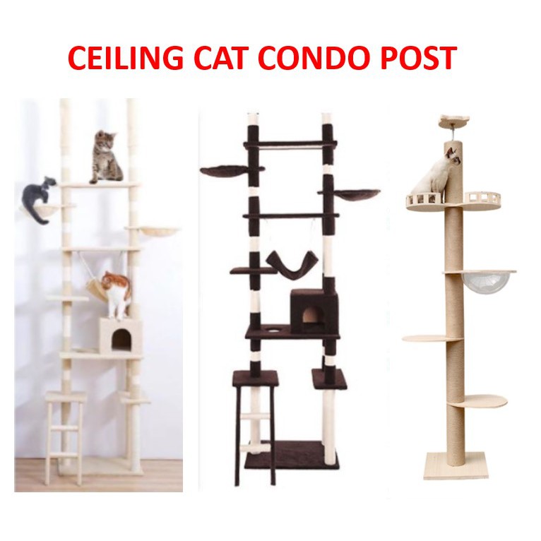 Sg Seller Cat Condo Cat House Cat Scratching Ceiling Pole Scratcher Pinewood Sisal Post Shopee Singapore