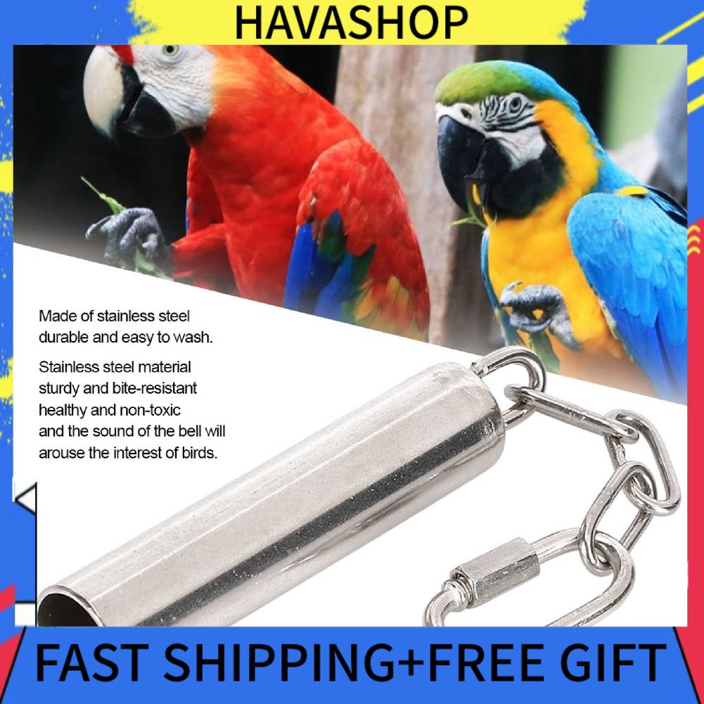 Squirrel Bells Stainless Steel Toys for Birds Large Parrot African