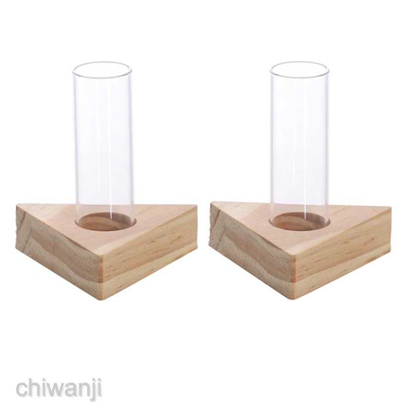 2pcs Planter Test Tube Flower Bud Vase Tabletop Glass Pots in Wooden Stand