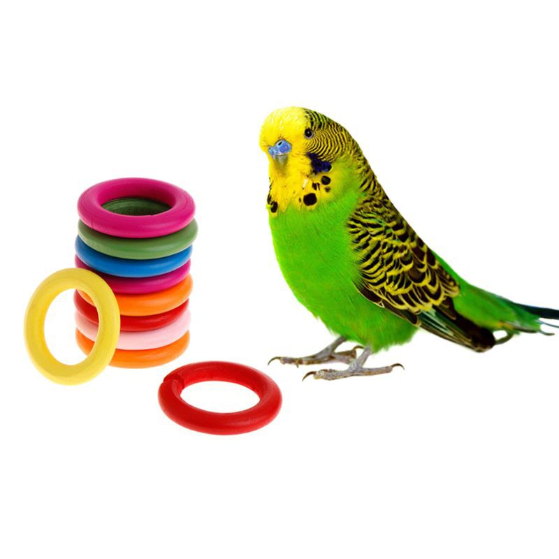 10 Pcs Set Wooden Ring Parrot Toys Bite Chew Play Natural Colorful Rings Decoration Birds Parakeet Toy Diy Accessories Shopee Singapore