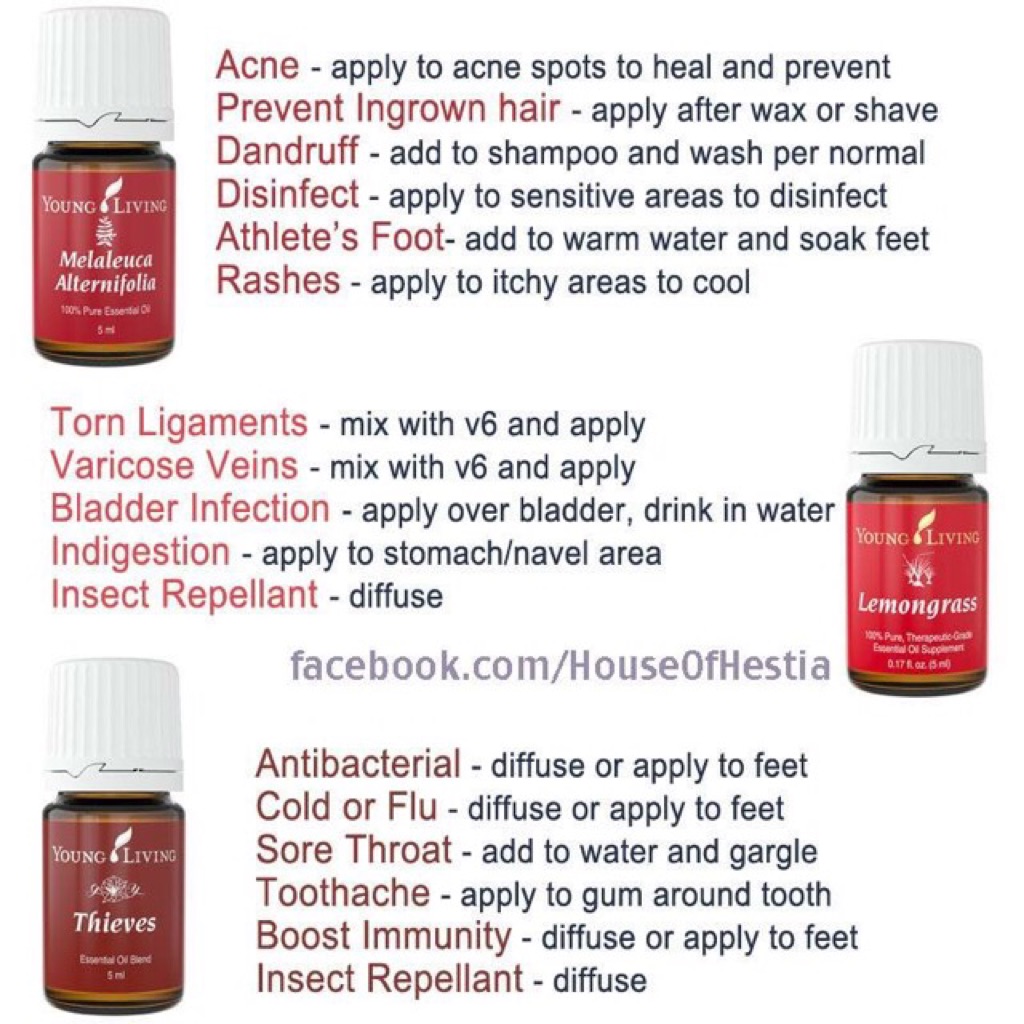 Get 13 Oils Today Shopee Singapore