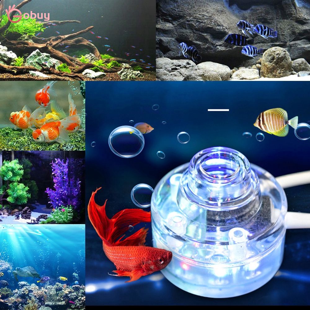Gobuy Aquarium Decorations Fish Tank Lamp Led Diving Lights Bubble Air Stones Us Uk Eu Shopee Singapore