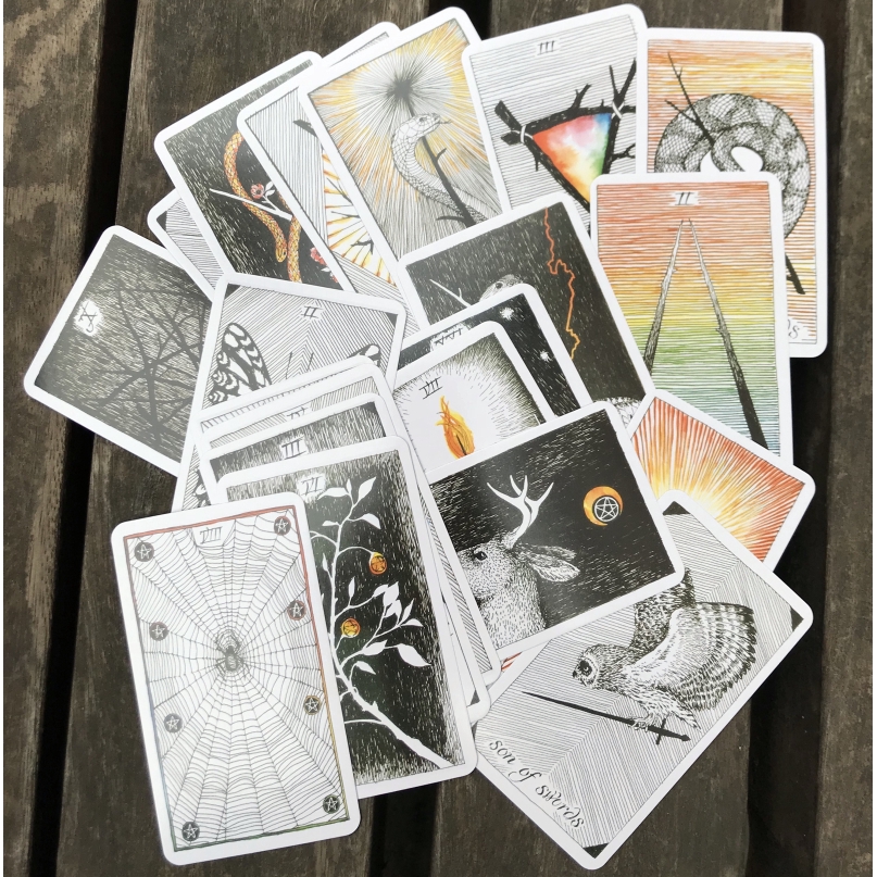 78x the Wild Unknown Tarot Deck Rider-Waite Oracle Set Fortune Telling Card ~