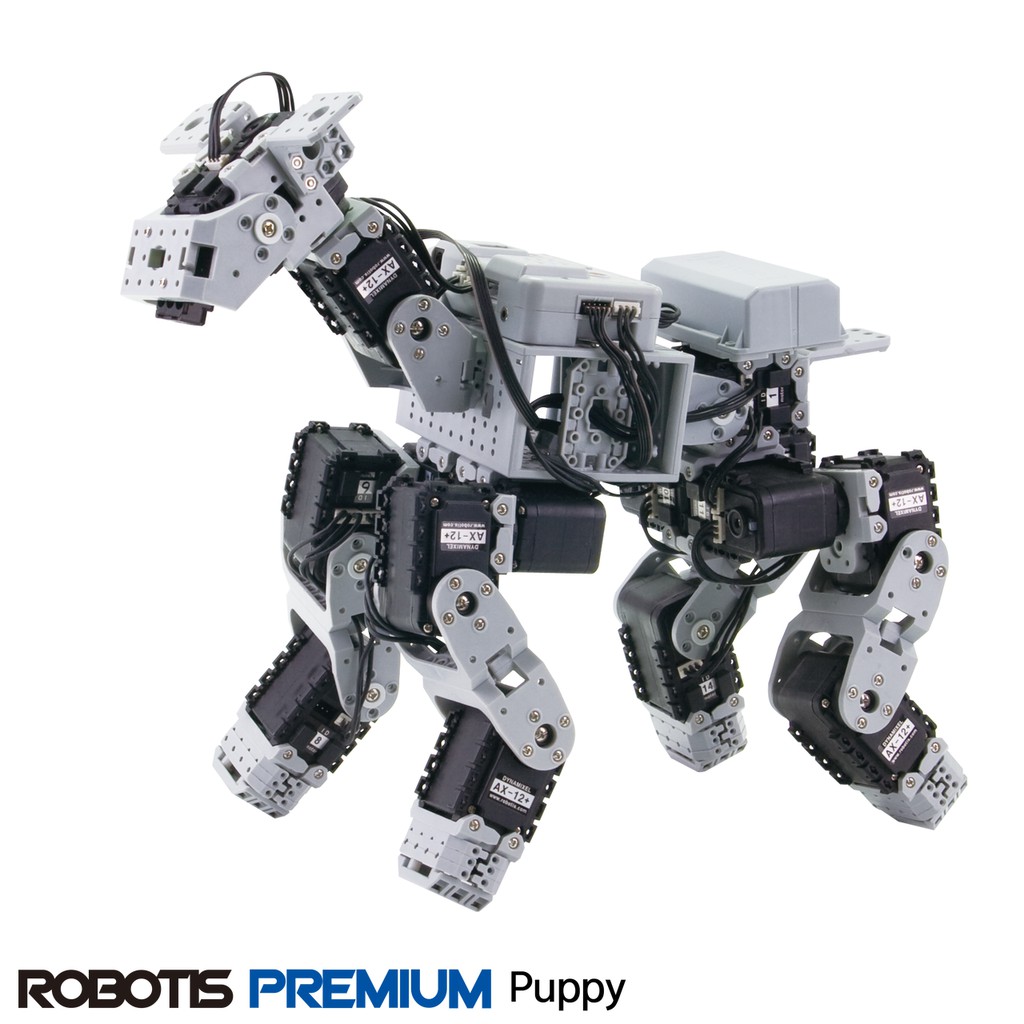 robotis premium