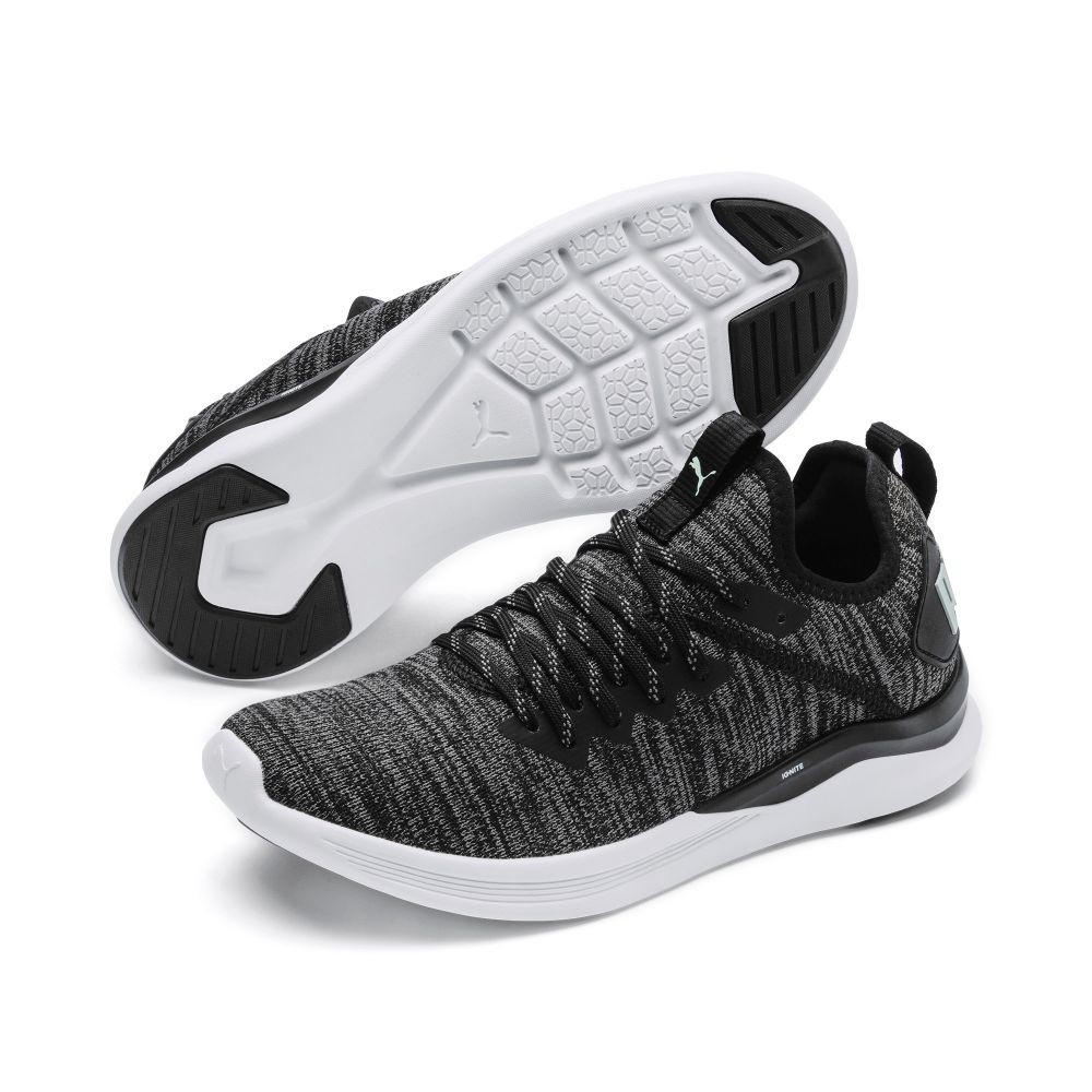 puma ignite flash evoknit shoes