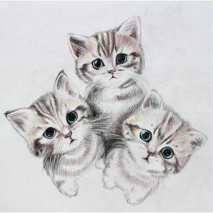 3 котенка рисунок
