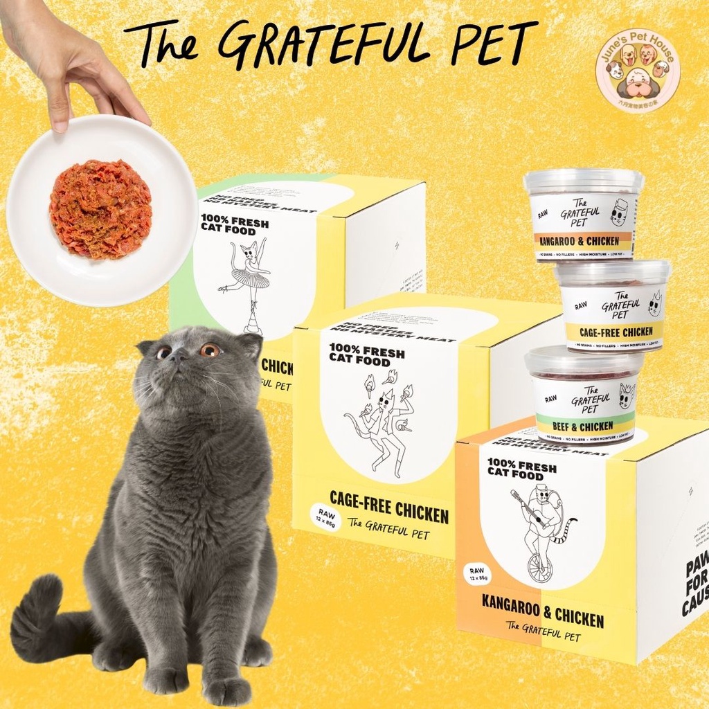 frozen-raw-cat-food-top-options-for-cats-with-taste