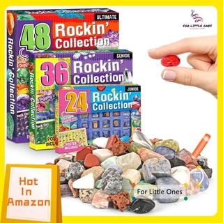 24/36/48pcs/Set Natural Crystal Stone Raw Mineral Specimens Rock Crystal Gemstone Collection Kit Research & Teaching