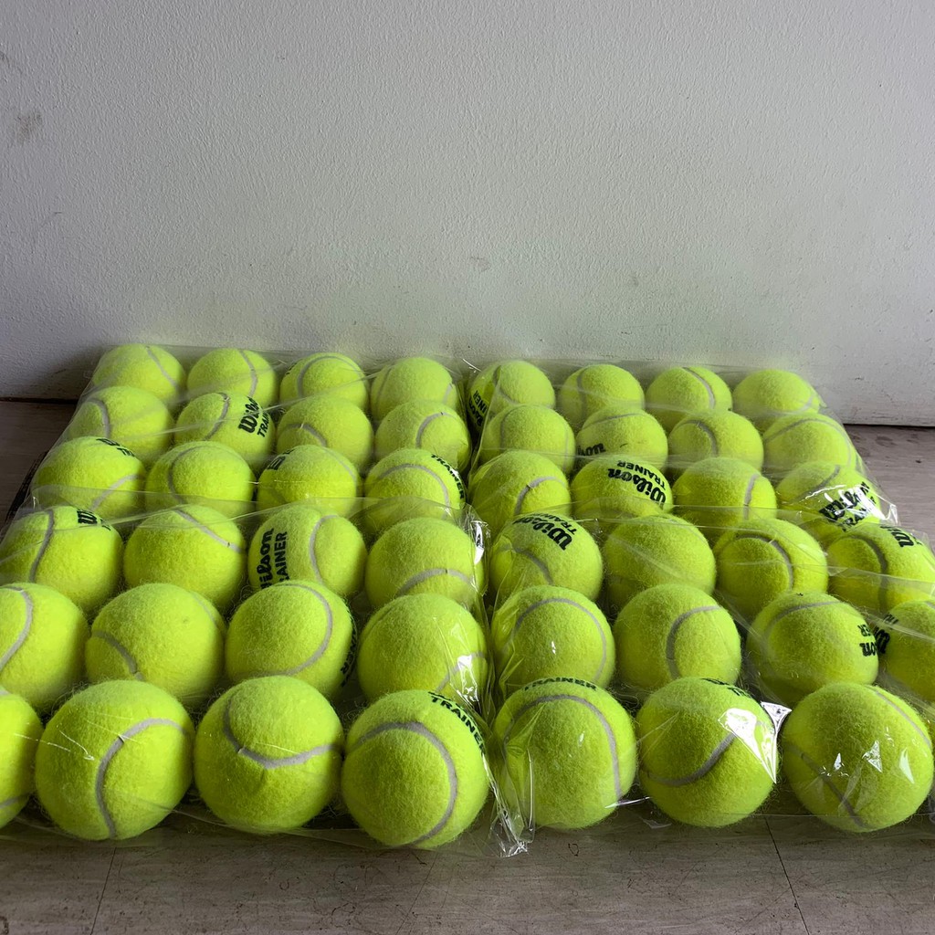 wilson trainer balls