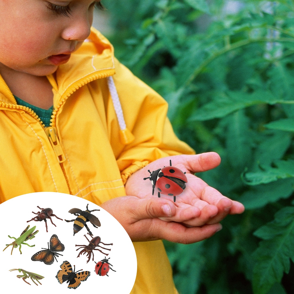 educational insect toys