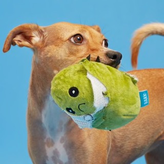 Bark Consuela The Cactus Dog SQUEAKER CRINKLE Spike Toy ...