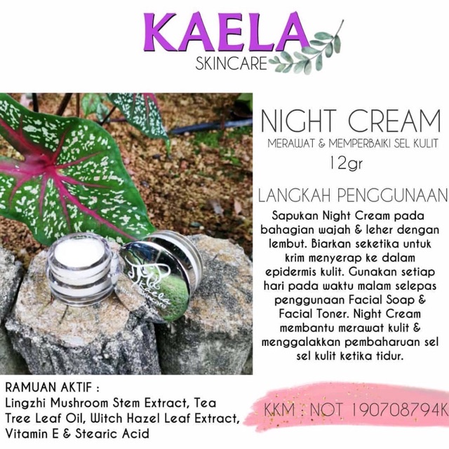 Night Cream 12g By Kaela Skincare Shopee Singapore