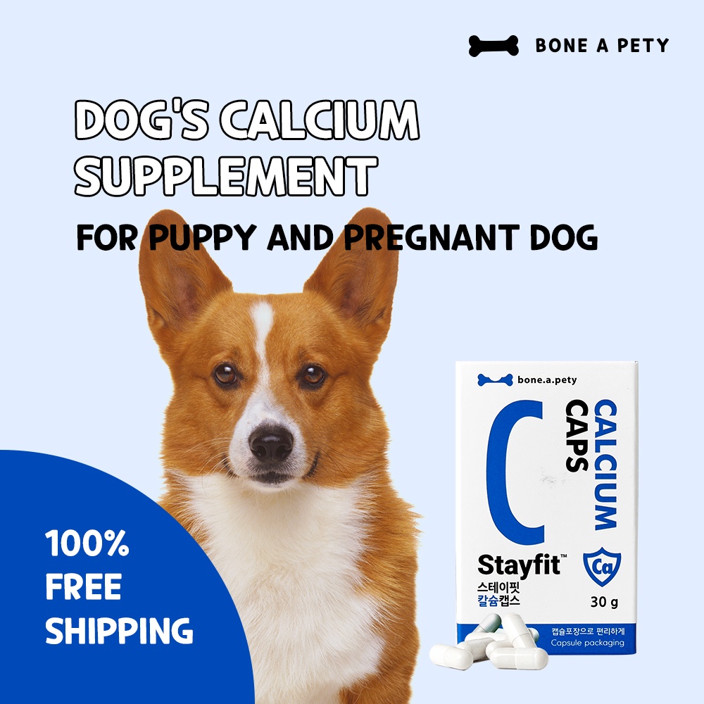 should i give calcium to my pregnant dog