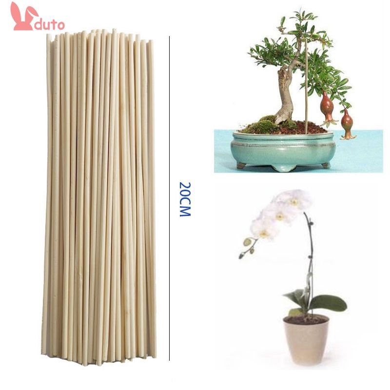 50pc Bamboo Stick Plant Growth Support Rod Small Bonsai Branch Vine Dt Shopee Singapore