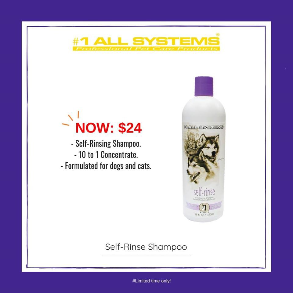 self rinse dog shampoo