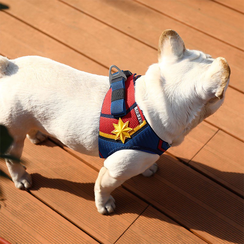 jump restraint dog harness petsmart
