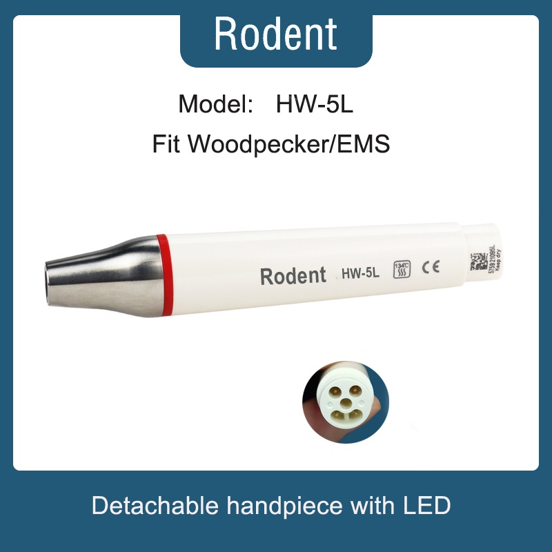Dental Ultrasonic Scaler Handpiece Fit Woodpecker EMS HW5L With LED