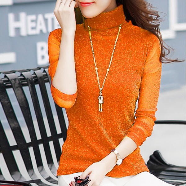 long sleeve high neck mesh top