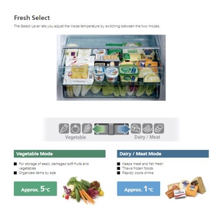 Hitachi 2 Door Inverter Fridge 290L R-H350P7MS #5