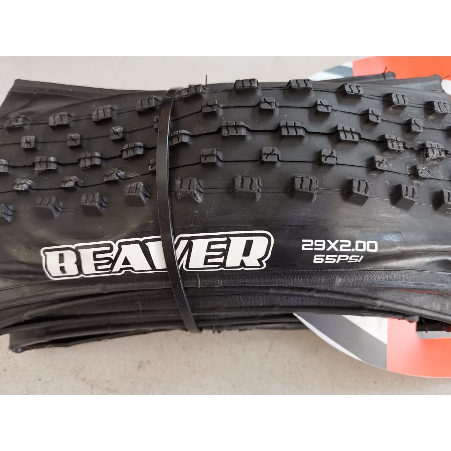maxxis beaver 29 x 2.0