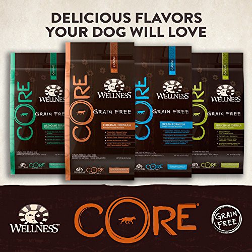 core dog food